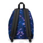 Eastpak Padded Pak'r Ng Fish LTZJ8 Backpacks - Image 2